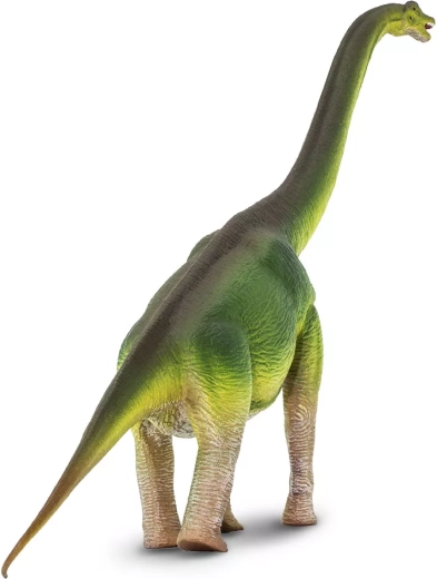 Long cou et silhouette fidèle du brachiosaure