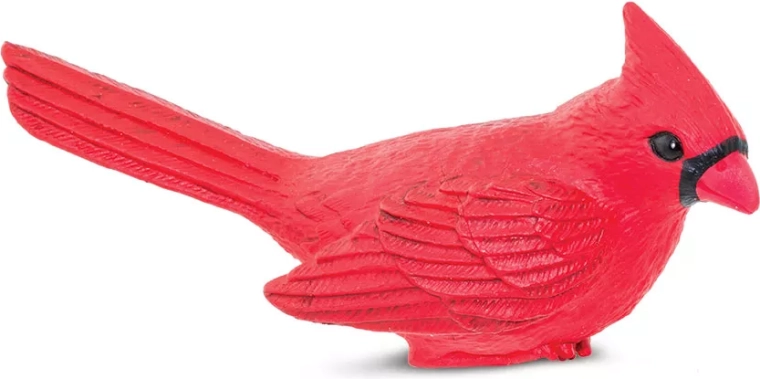 Safari Ltd. cardinal rouge - 1 pièce