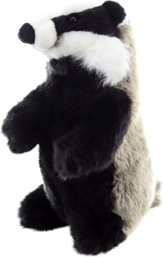 Léger et taille idéale