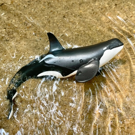 Convient aussi pour jouer dans l’eau