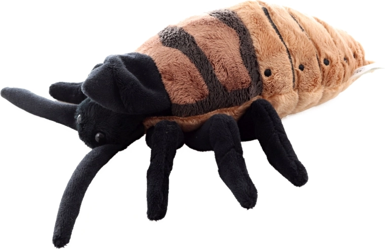 Taille idéale 20 cm