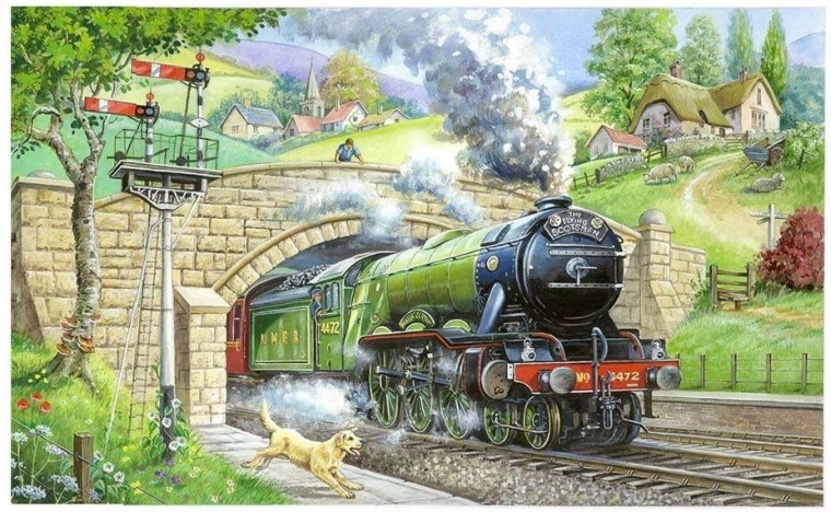 HOP Puzzle Observation des trains 250 pièces