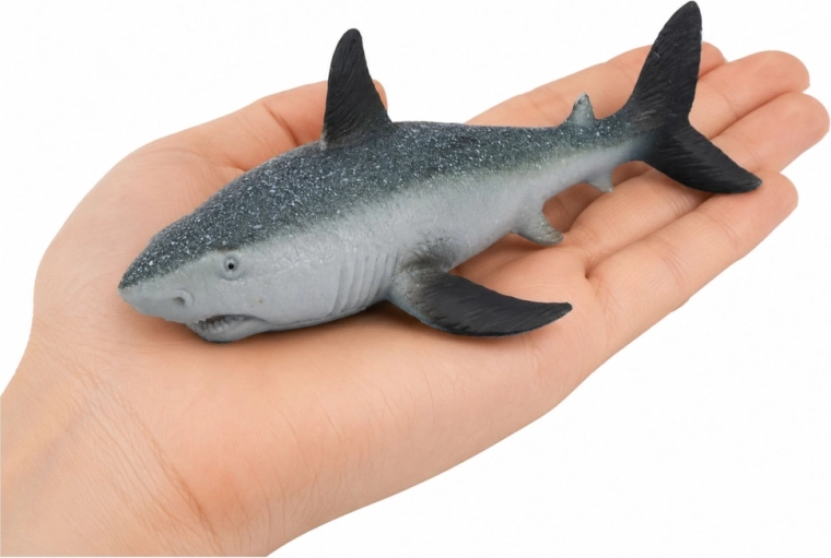 Des détails réalistes comme sur un vrai requin