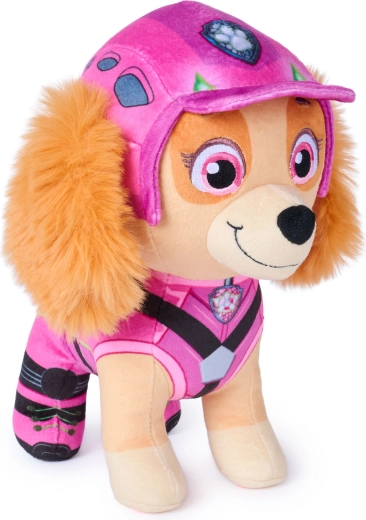 Look du film Paw Patrol : Dinozaury
