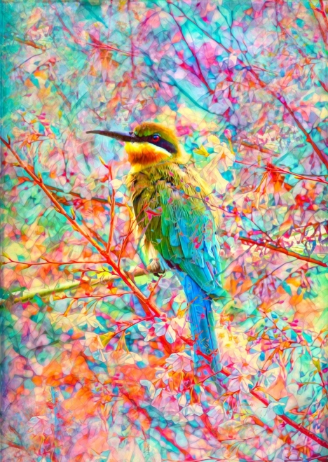 Puzzle Oiseau heureux 1000 pièces