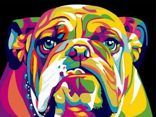 NORIMPEX Peinture par numéros Bouledogue coloré 40 × 50 cm