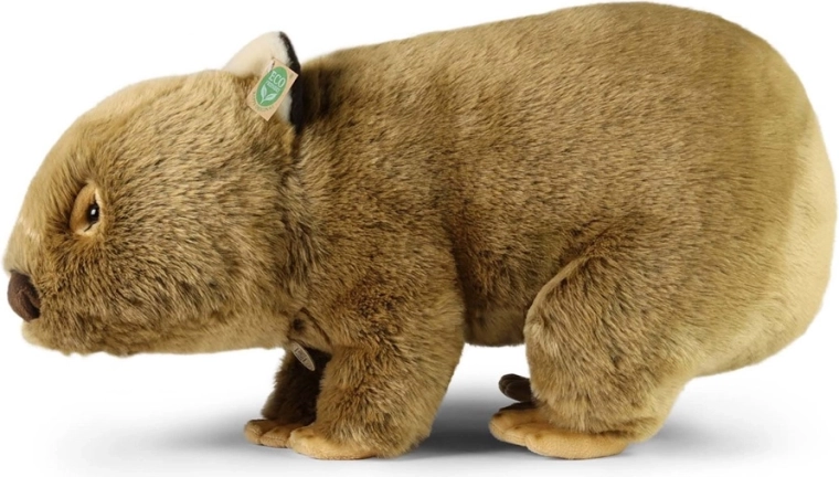 Peluche douce et câlins confortables