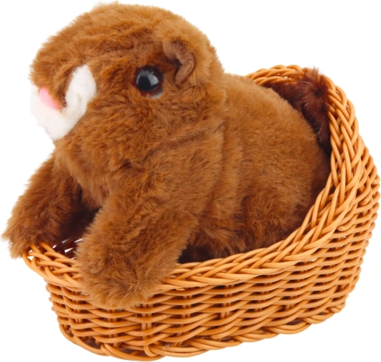Peluche douce, sûre et durable