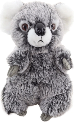 Sûre dès la naissance (0+)