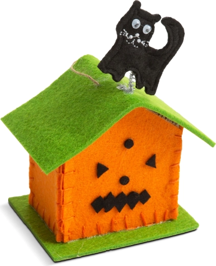 Fantôme ou chat noir sur le toit