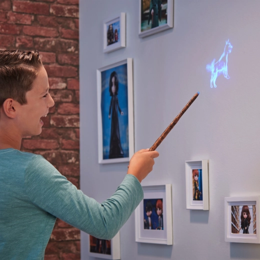 Projette le Patronus sur le mur