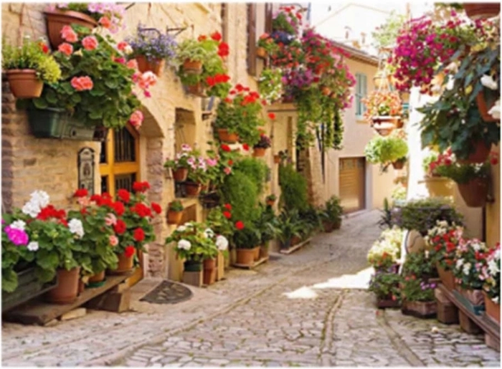Norimpex peinture diamant Rue italienne avec des fleurs 30 × 40 cm