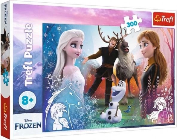 Puzzle 300 pièces – Moment magique DISNEY FROZEN 2