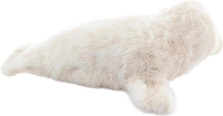 Sûr dès la naissance