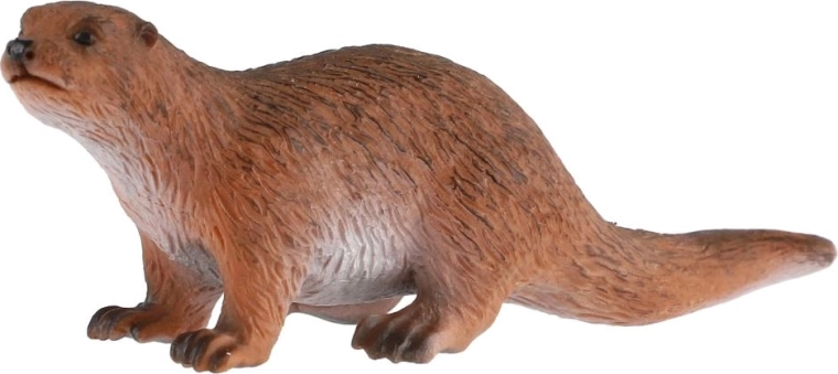 Loutre fidèlement représentée