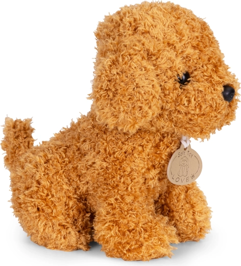 Chien tout doux et moelleux pour des câlins