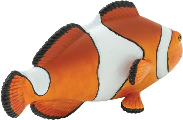 Réalisation réaliste du poisson-clown ocellé