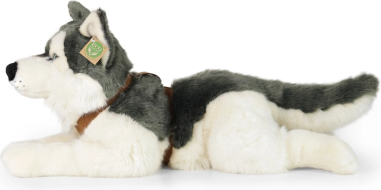 Apparence réaliste du husky