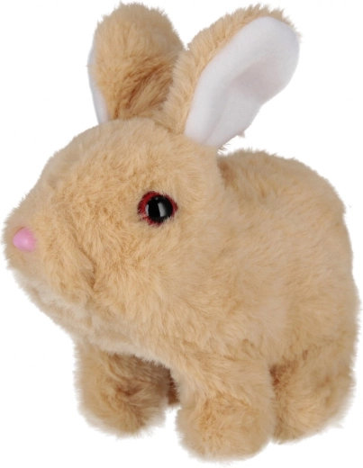 Mouvements et sons adorables