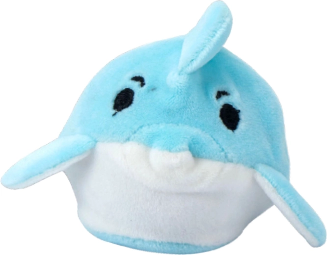 Compacte et toujours à portée de main