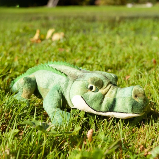 Compagnon de jeu et de câlins