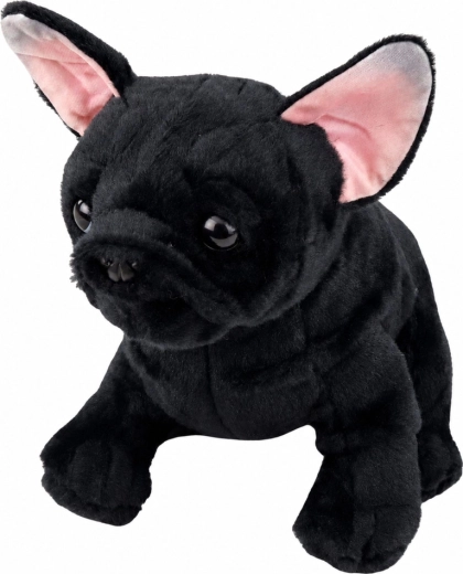 Apparence réaliste de bouledogue