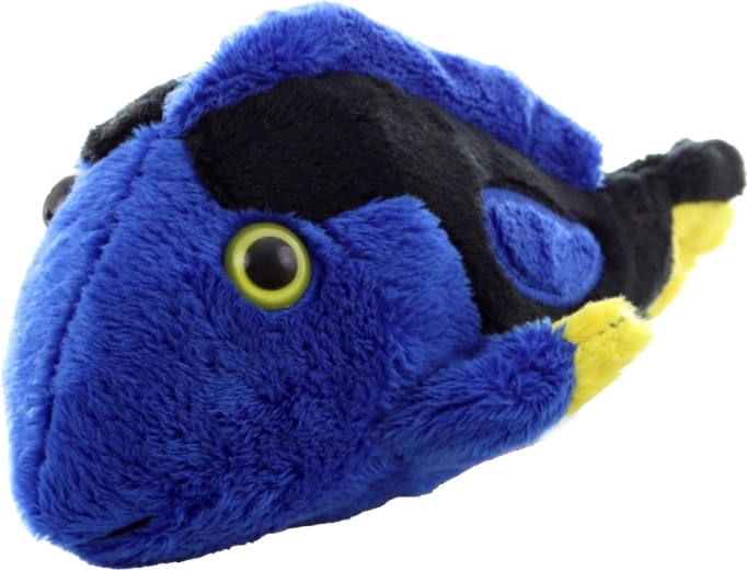 Des couleurs éclatantes qui attirent le regard