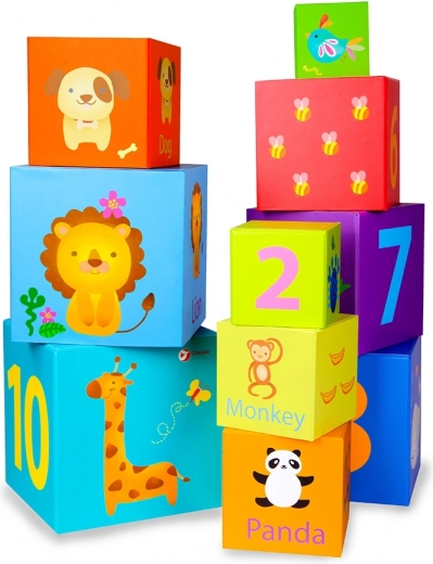 Construction et classement par taille