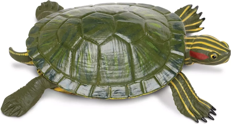 Figurine de tortue à tempes rouges Safari Ltd. - 1 pièce