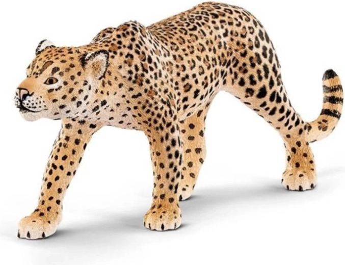 Schleich léopard – figurine Wild Life