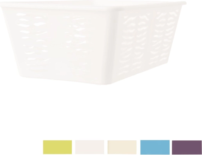 Design moderne Zebra et assortiment de couleurs