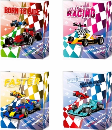 Sac cadeau pour garçon M