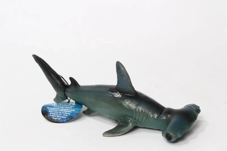 Requin-marteau 21 cm