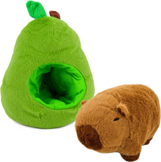 La capybara comme « noyau » : cache et ressors