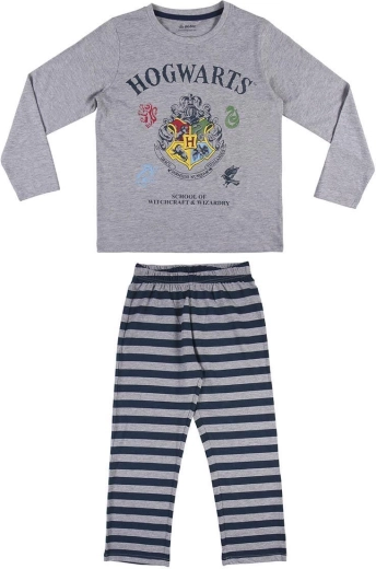 Motif Hogwarts pour les fans de Harry Potter