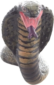 Format compact pour les petits explorateurs