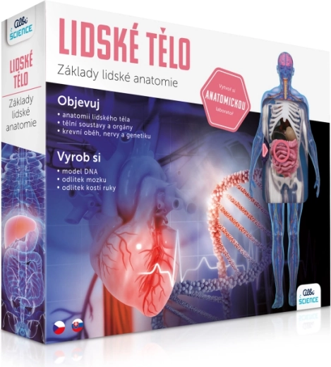 Guide de l'anatomie pour les enfants
