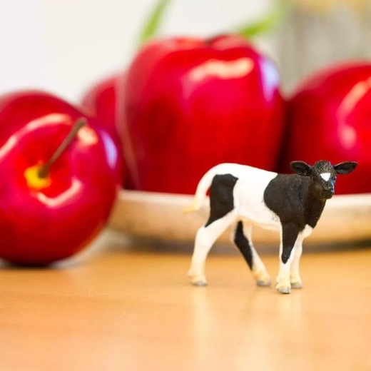 Idéal pour jouer à la ferme et apprendre