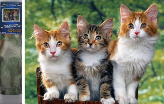 Norimpex Peinture au diamant Chat 30x40 cm