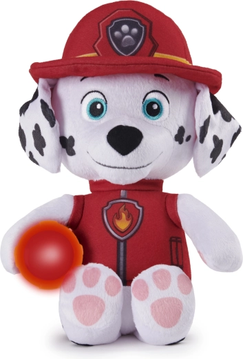 Héros préféré de PAW PATROL