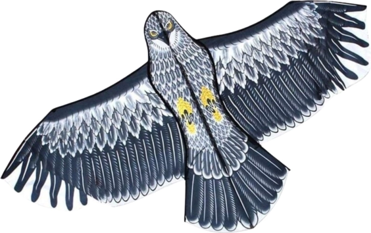 Vol stable même pour les débutants