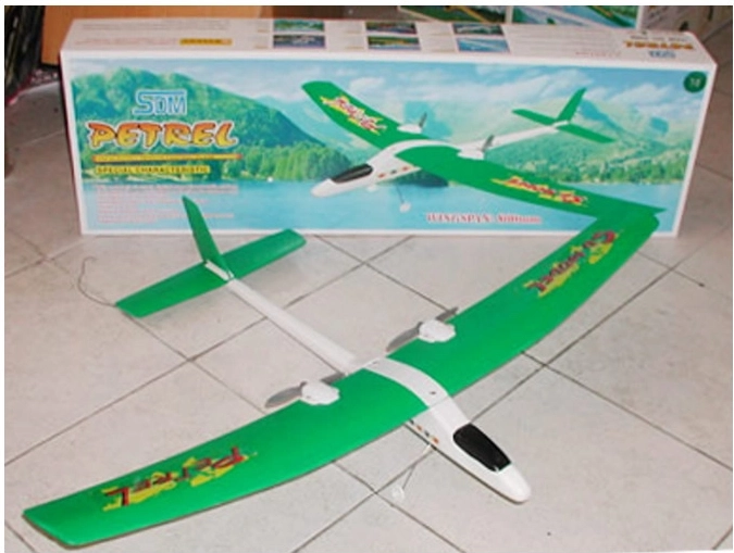 Avion RC Petrel à propulsion électrique avec commande à deux canaux