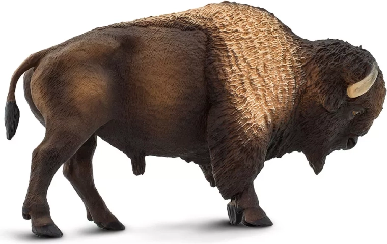 Apprendre en jouant avec les figurines Safari Ltd.