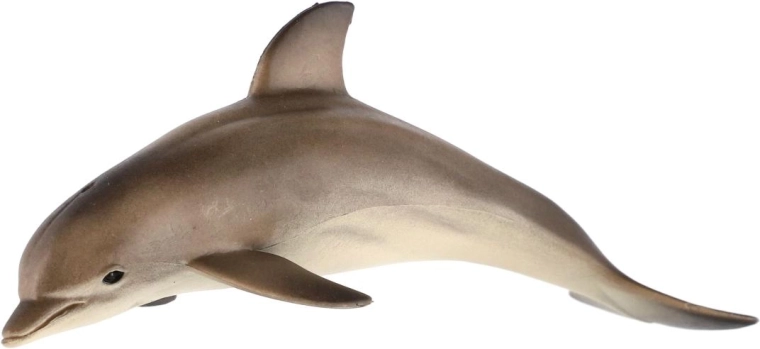 Pour les petits explorateurs des océans