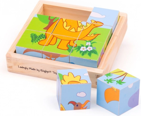 Velkéjigs Cubes d’images Dinosaures 9 cubes