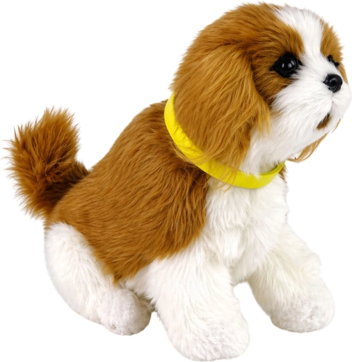 Doux compagnon en peluche