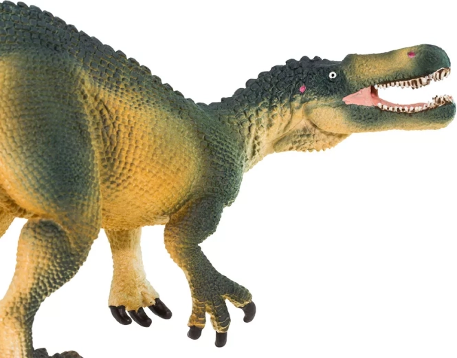 Détails fidèles du Suchomimus