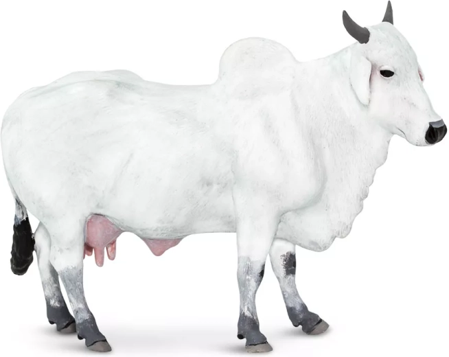 Figurine de zébu (bœuf domestique) Safari Ltd. - 1 pièce