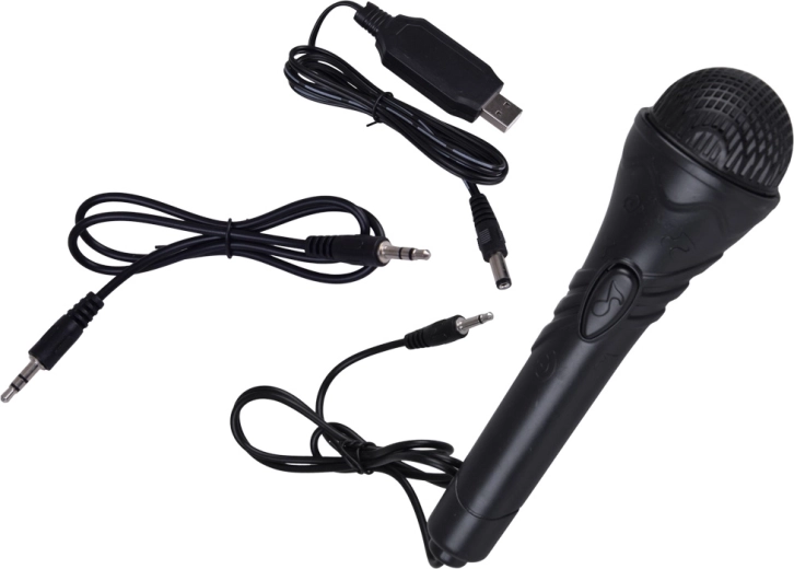 Karaoké et concerts à la maison