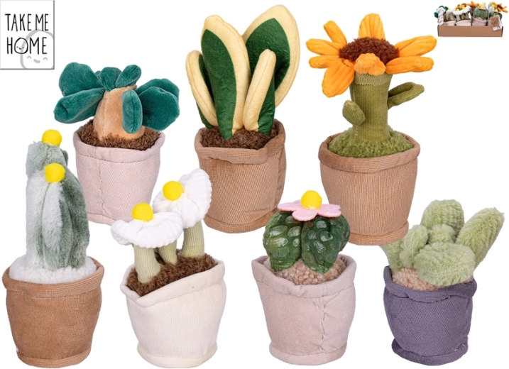 Plantes d’intérieur en peluche Take Me Home 12–17 cm, 7 variétés
